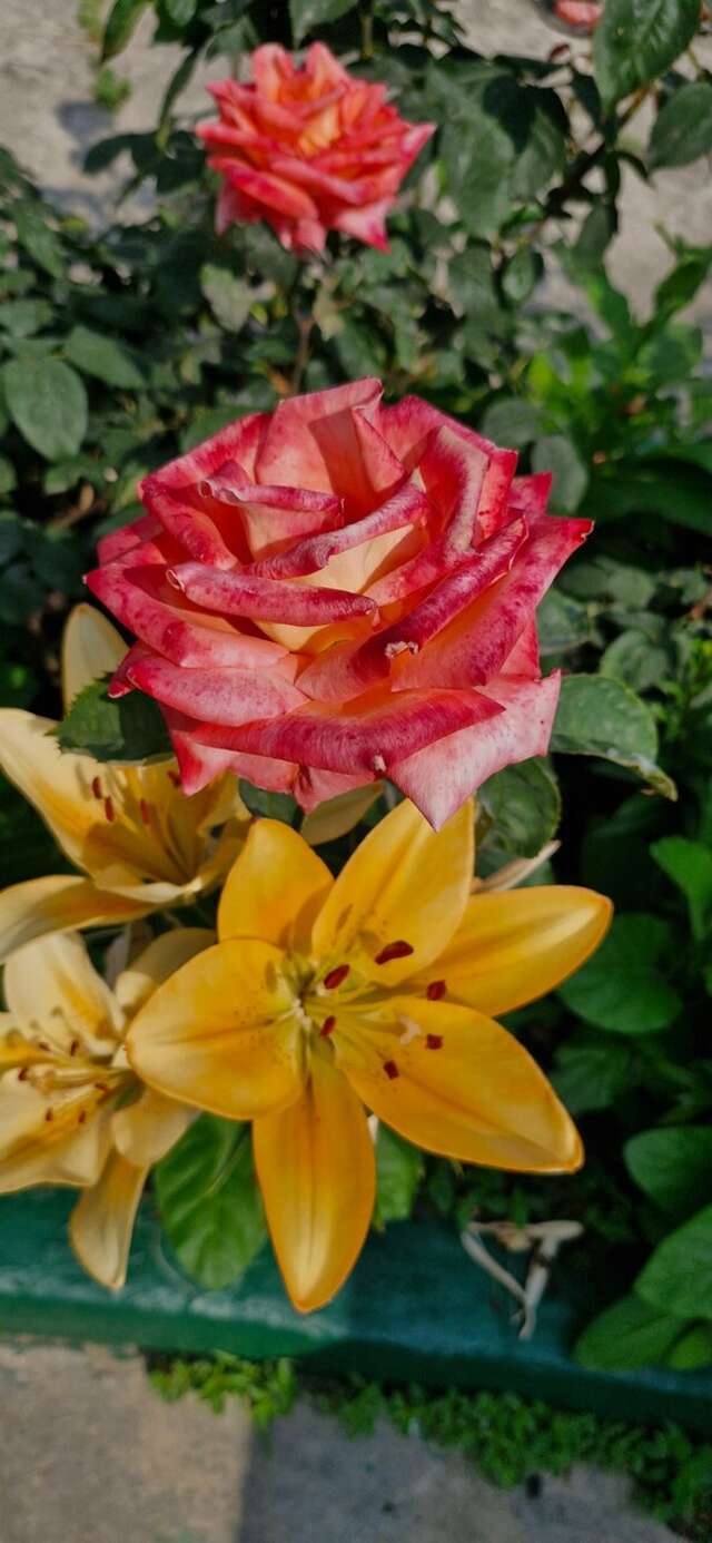 Гостиница Гостевой дом Анапа-96