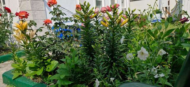 Гостиница Гостевой дом Анапа-89