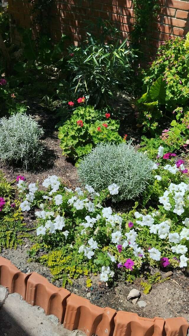 Гостиница Гостевой дом Анапа-97