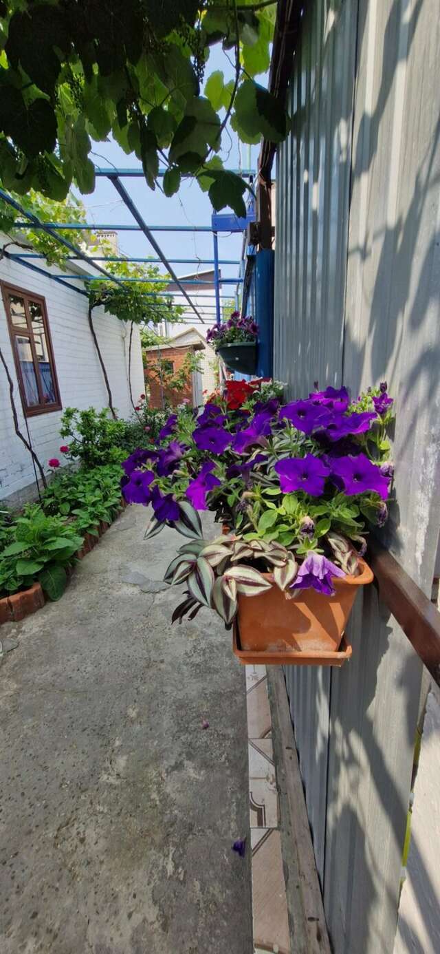 Гостиница Гостевой дом Анапа-94