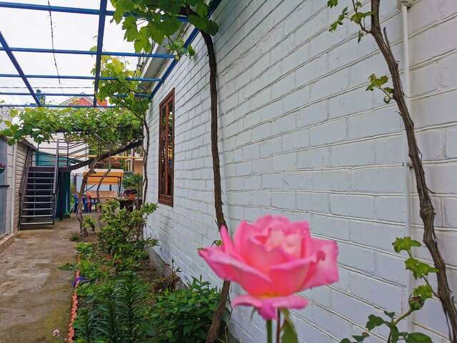 Гостиница Гостевой дом Анапа-28