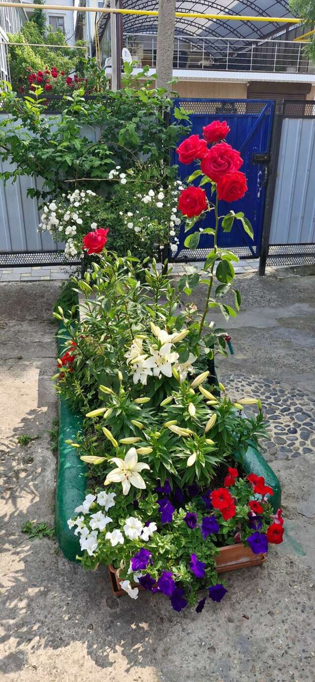 Гостиница Гостевой дом Анапа-99